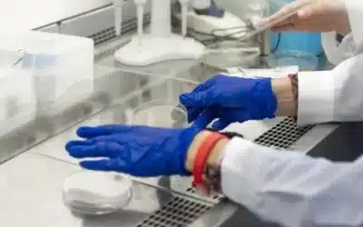 Testing, Testing… The Best Mold Test Kits Reviewed