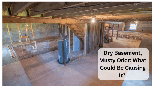 Dry basement musty odor