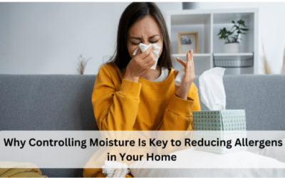 Why Controlling Moisture Is Key to Reducing Allergens in Your Home