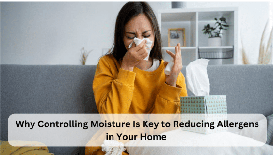 Why Controlling Moisture Is Key to Reducing Allergens in Your Home