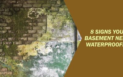 8 Signs Your Basement Needs Waterproofing