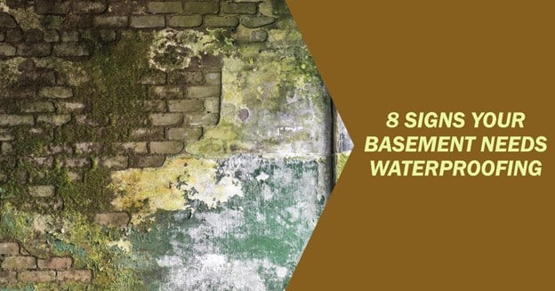 8 Signs Your Basement Needs Waterproofing