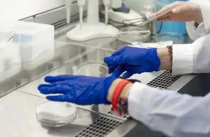 Laboratory analysis of mold samples during professional mold testing and remediation process