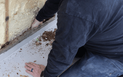 The Price of Protection: Basement Waterproofing Costs Per Linear Foot