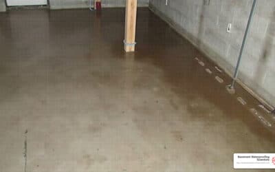 From Damp to Dry: Your Guide to Wet Basement Repair